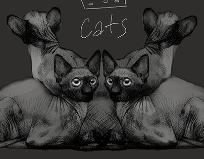 cat illustrations