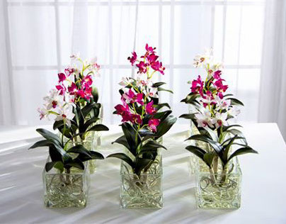 Dendobrium Orchids arrangements