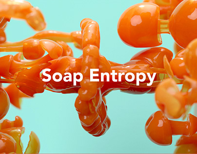 SOAP ENTROPY