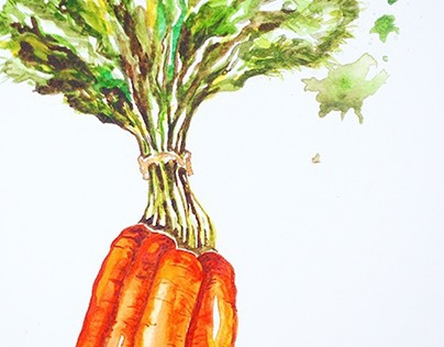 Watercolour Carrot Top, 2014