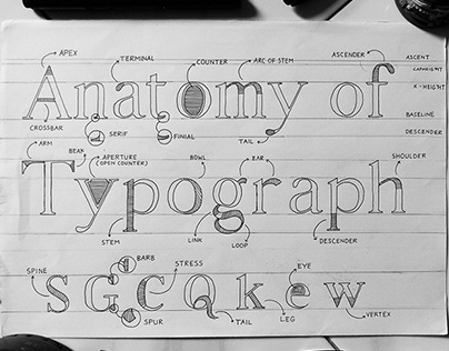 Anatomy of Typograph