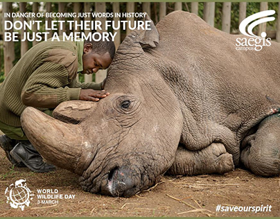 New Campaign for world wild life day 2021