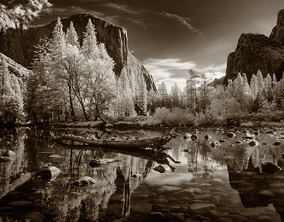 Fall Yosemite area 2014
