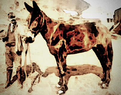 Mule In A Mine Graphic Design