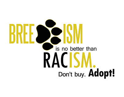 SPCA Awareness Campaign Design