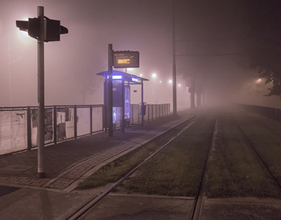 September night mist in the city