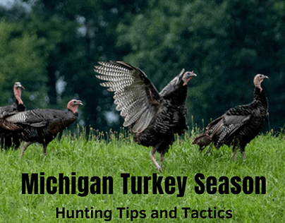 Tips and Tactics for a Successful Michigan
