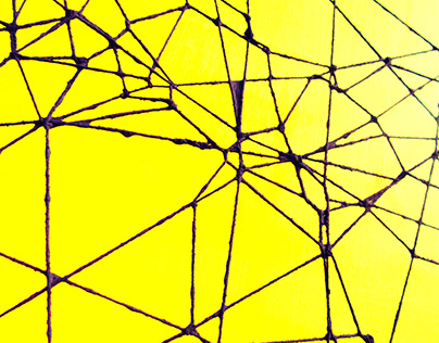 Photographie toile araignée sur fond jaune fluo