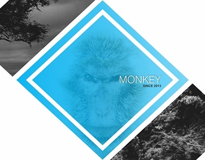 Monkey - wear