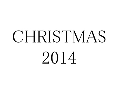 Merry Christmas 2014