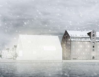CHP NEW MODERN LIBRARY international ideas competition