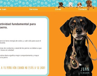 Juan El Paseador - Juan The Dog walker. Website.
