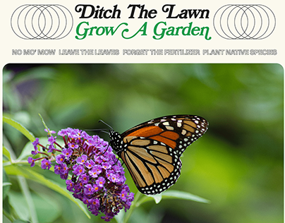 Ditch The Lawn, Grow A Garden