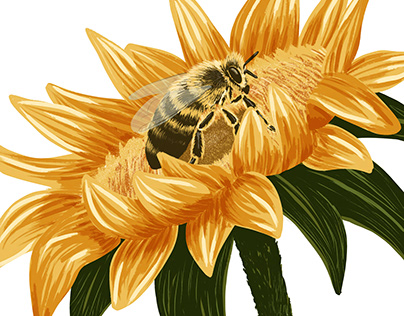 Bee and Sunflower Illustration