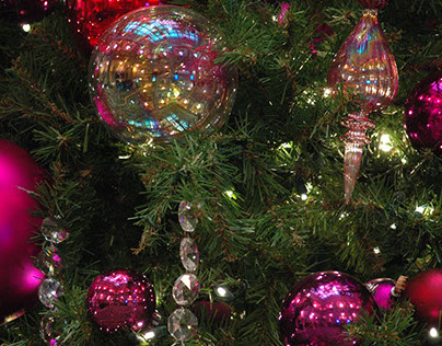 Christmas lights and Nativities