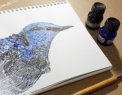 Blue birds. sketch book.