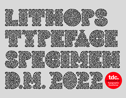 Lithops - Open Source Typeface - TDC69 Winner
