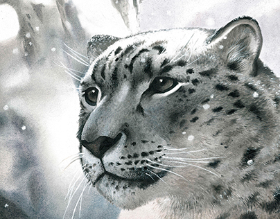 "Wild cats" - "Snow Leopards"
