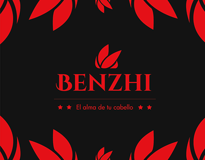 Briefing creativo para Benzhi