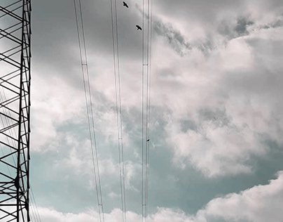 Power Pylons and Birds