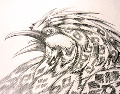 Bali Bird Sketch Illustration
