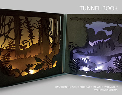 Tunnel Book