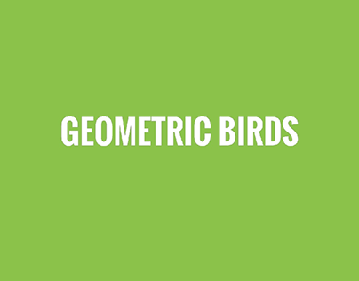 Geometric Birds