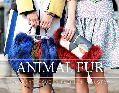 Fur Issue In Fashion Merchandising