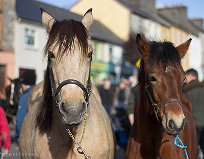 Castleisland Horse Fair Day