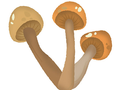 Fungus Porn