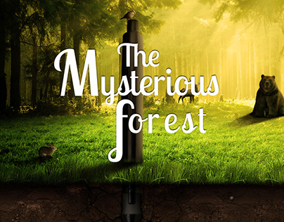 The mysterious forest