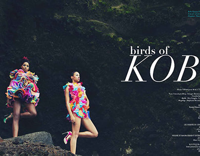 Bird of KOB for Mode Mood Mode numéro 1