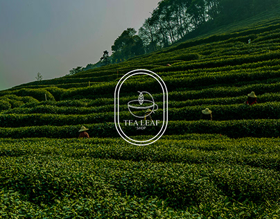 Tea Brand, Logo & Brand Identity| Packaging