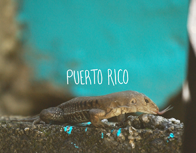 Puerto Rico Travel Video