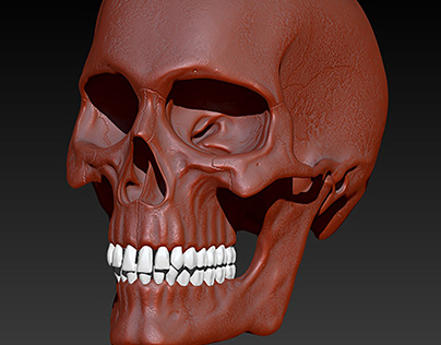 3D Skull Design