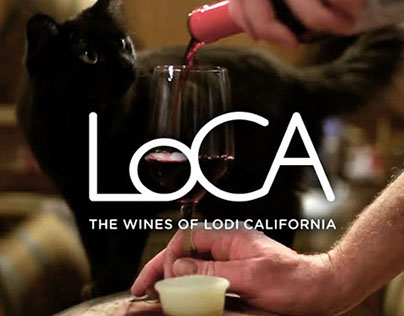 LoCA Brand Video  