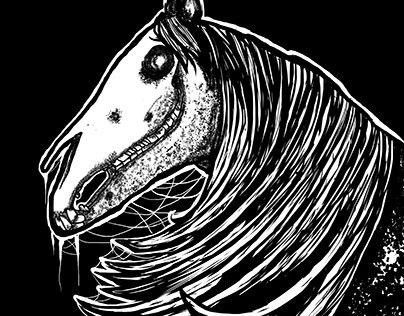 "DARK HORSE" ALBUM COVER FOR SALE!