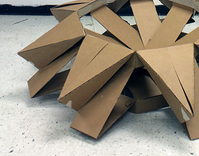 Cardboard Folding Project