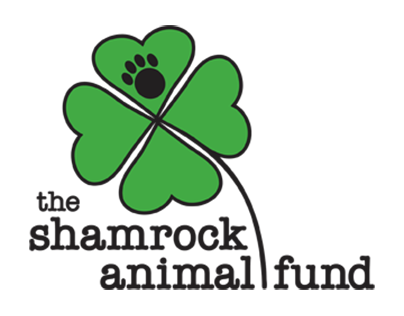Behind the Scenes: Shamrock Animal Fund