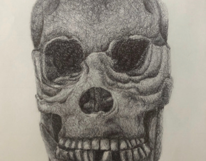 Ballpoint Pen Skull