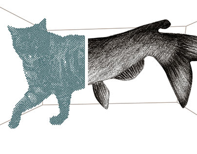 Branding illustrations for By Catfish