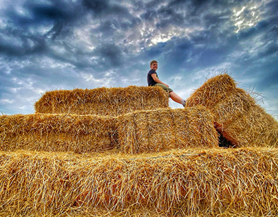 Sky, field, hay