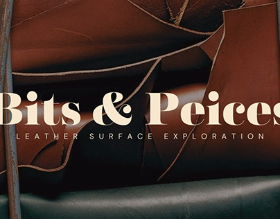 Leather surface exploration