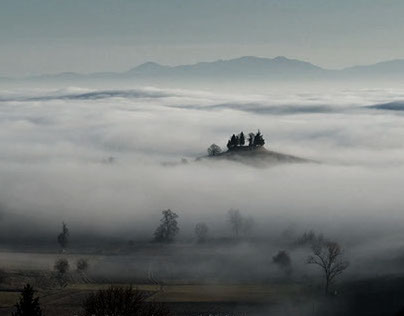 Mist in Monferrato hills