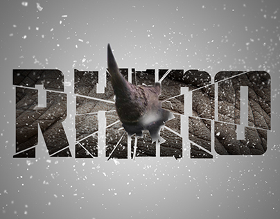 Rhino Album Cover