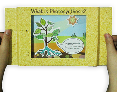 Photosynthesis educational tool