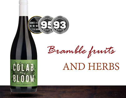 Colab and Bloom Montepulciano 2019
