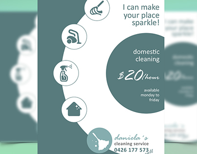 Domestic Cleaning Services Flyer
