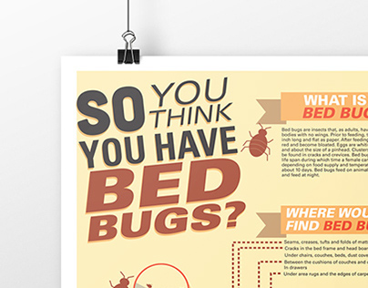 Bedbugs Educational Poster