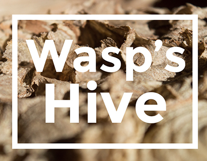 Wasp's Hive